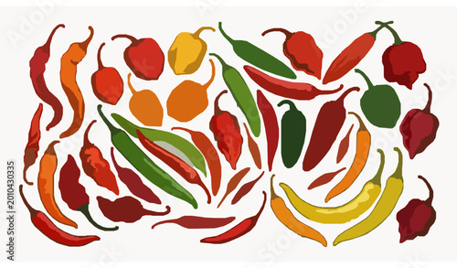 Assorted hot peppers collection with realistic shapes and colors vector illustration isolated on white background