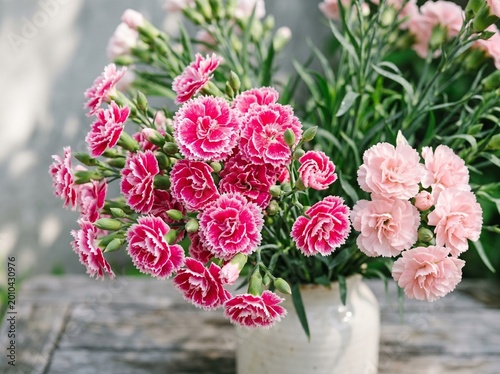 Vibrant pink and light pink carnations in a white vase on a wooden table outdoors