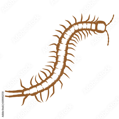 Billede på lærred Centipede stroke image