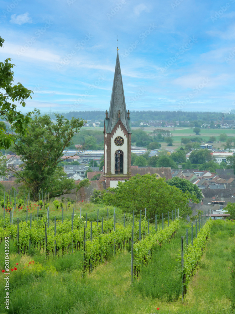 Naklejka premium Ihringen Kaiserstuhl Germany Vineyard and Townscape View