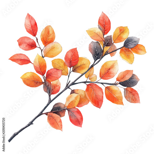 Obraz na plátně Autumn Tree Branch, elegant watercolor illustration luminous highlights, isolated on a white background