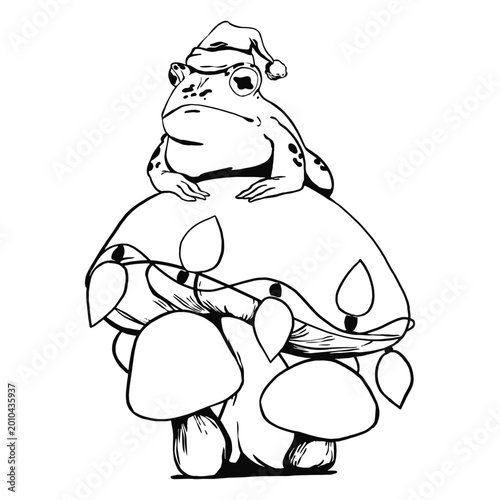 Φωτογραφία Frog perched atop mushrooms