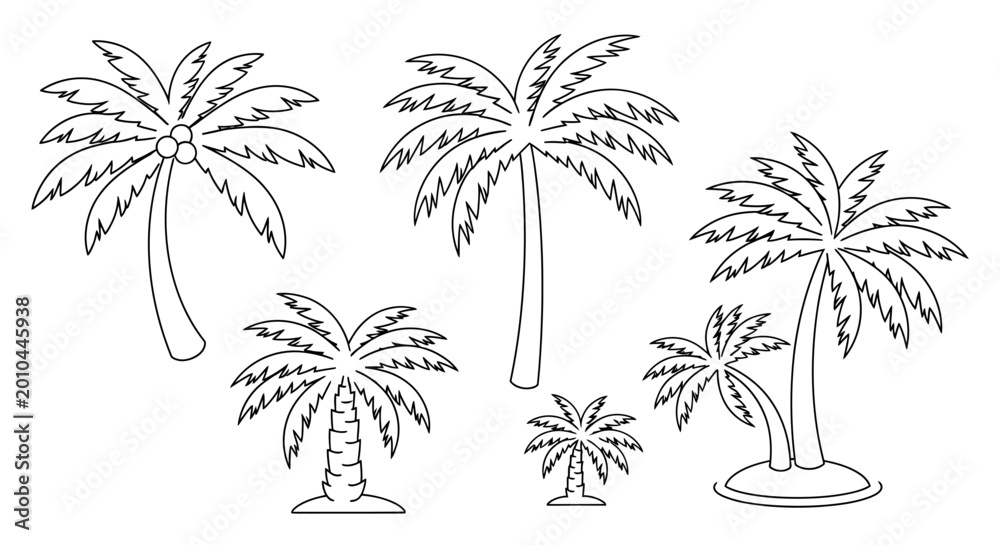 Obraz premium Group of palm trees standing tall.