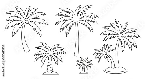 Foto Group of palm trees standing tall.