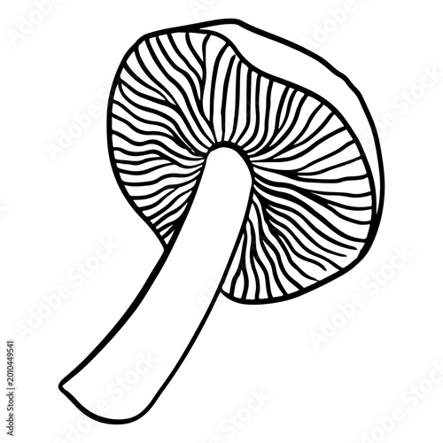 Foto Elegant hand-drawn mushroom illustration