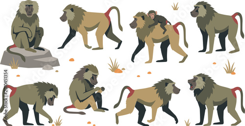 Photos Cartoon Baboon Monkey Set with Different Poses and Behaviors, Wild Primate Animals in Savannah Nature, Walking, Sitting, Social Interaction Vector Illustration Design