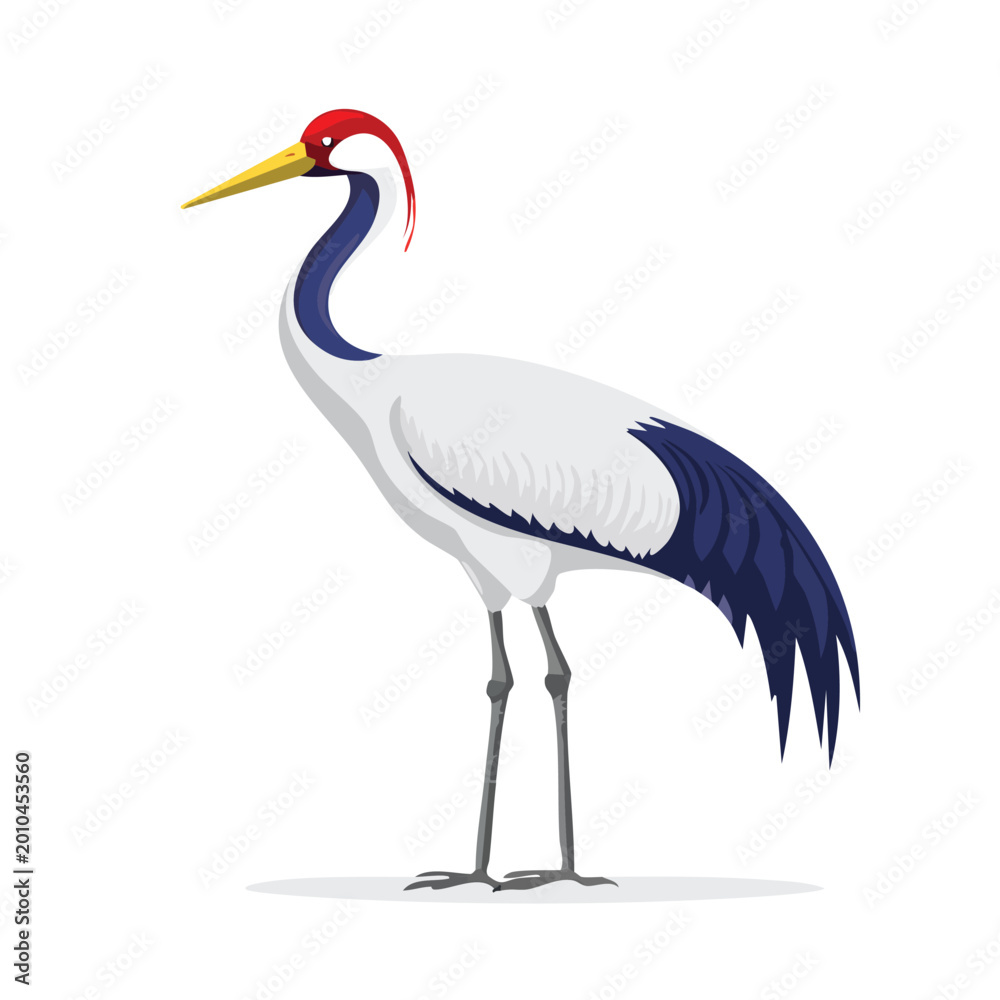 Obraz premium Elegant crane bird illustration against white background for design