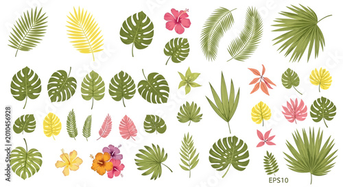 Photos Tropical leaves and flowers illustration.