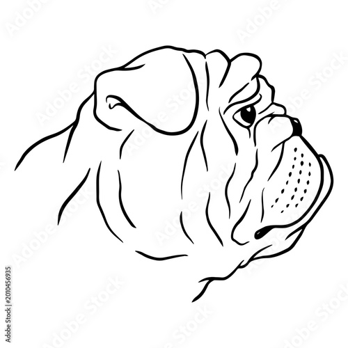 Bild auf Leinwand Elegant bulldog line art design