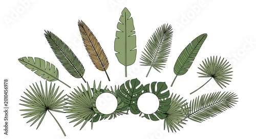 Photos Tropical leaves arrangement green foliage.