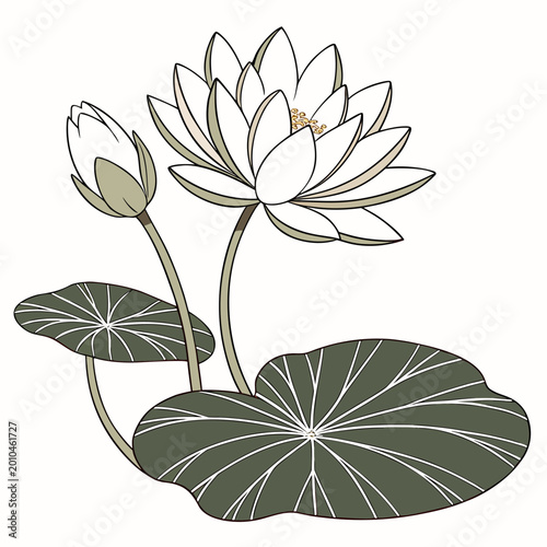 Foto Elegant white lotus flower with bud and dark green lily pads illustration