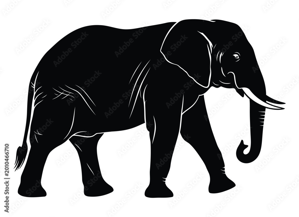 Fototapeta premium Elephant silhouette on a white background detailed illustration of an african wildlife animal