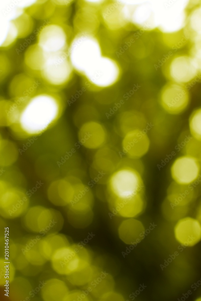 Obraz premium Abstract blurry green trees with sunlight filters in