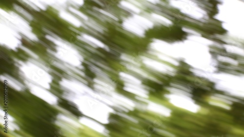Blurry motion of green leaves and tree branches in a