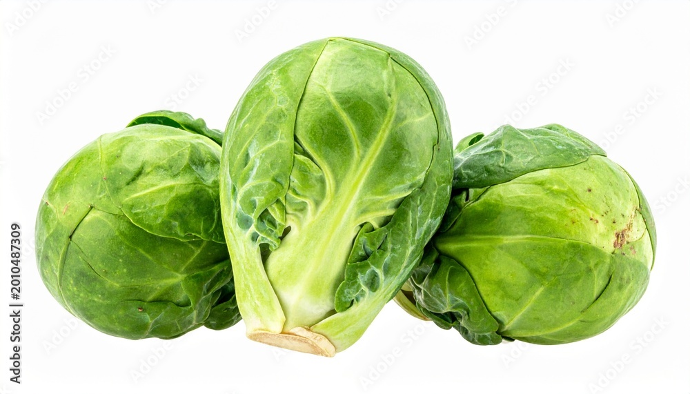 Fototapeta premium Rosenkohl auf weißem Hintergrund
