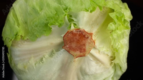 Fresh iceberg lettuce isolated on black background, rotation