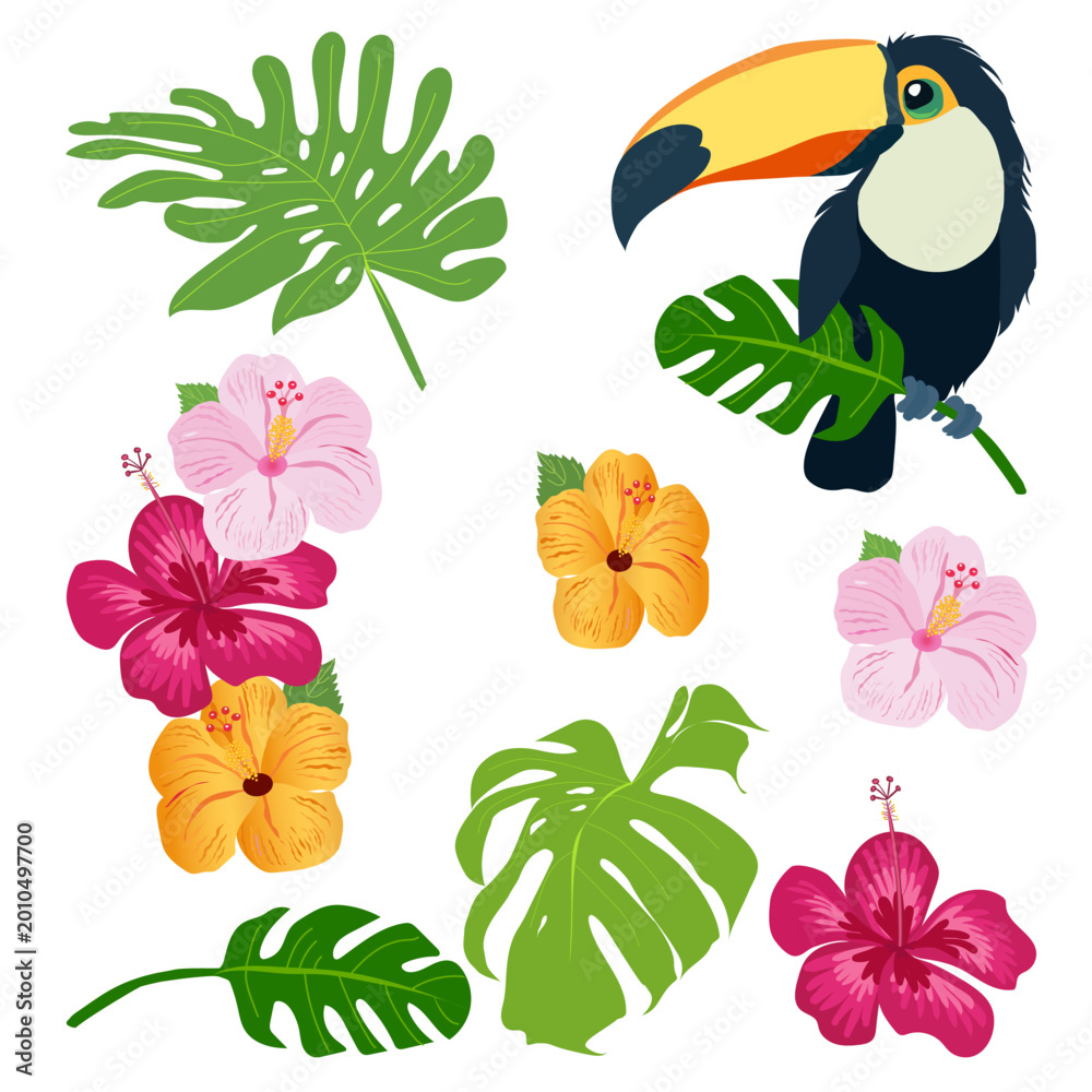 Obraz premium Tropical illustration with toucan, hibiscus flowers and monstera leaves isolated on light background