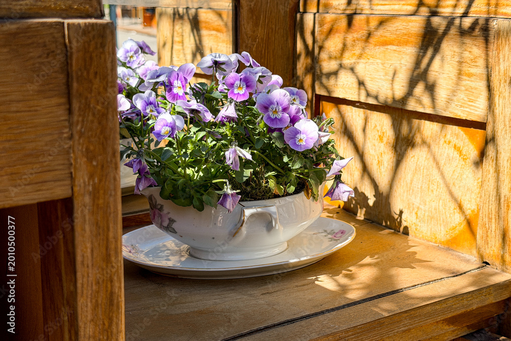 Obraz premium Purple pansies in a ceramic pot on a wooden shelf