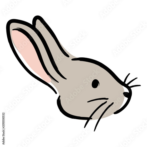 Rabbit head is shown