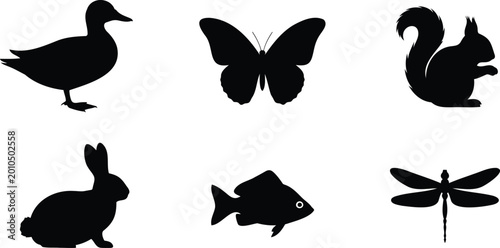 Photography Collection of wild animals and insects silhouette vector illustration set