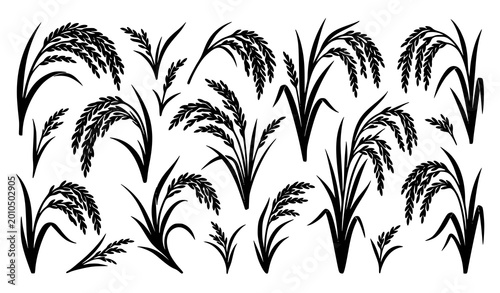 Foto Minimal rice plant silhouette vector set grains and leaves modern botanical food