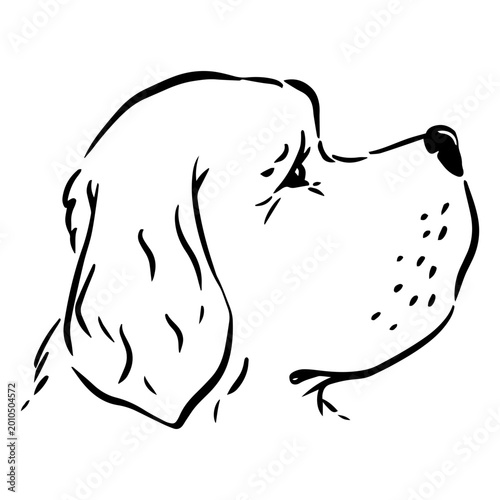 Canvastavla Playful dog silhouette illustration