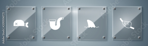 Bild auf Leinwand Set Pirate eye patch, Shark fin in ocean wave, Smoking pipe and bandana for head