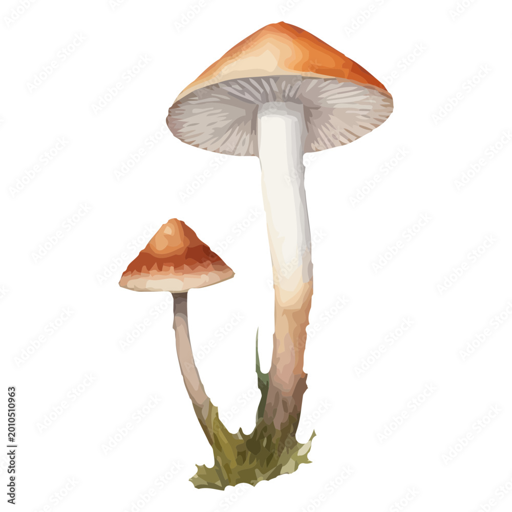 Fototapeta premium Artistic nature illustration featuring vibrant mushrooms t-shirt design