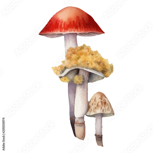 Obraz na plátně Colorful mushroom illustration for nature lovers