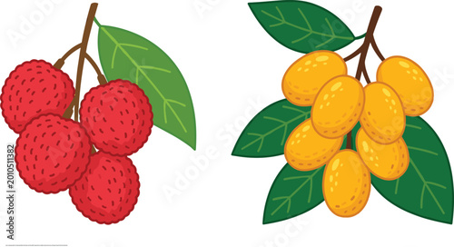 Foto Exotic Tropical Fruit Set Featuring Fresh Red Lychee and Yellow Loquat Branches