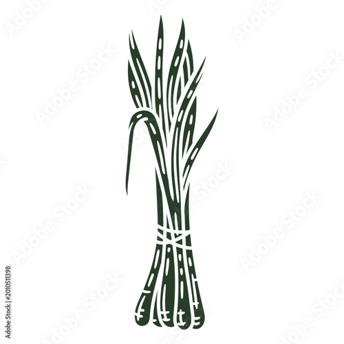 Slika na platnu Stylish green onion illustration