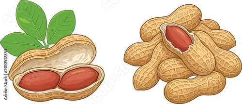 Photos Raw Peanut Set Featuring Groundnuts in Shell with Green Leaves and Pile of Crack