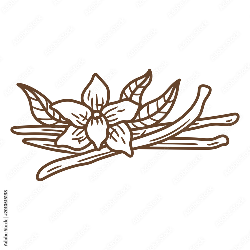 Obraz premium Brown flower with leaves
