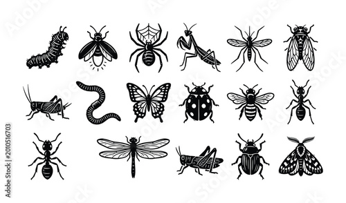 Collection of diverse insect and arthropod illustrations in a linocut style