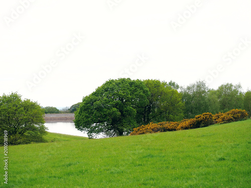 Photos Rivington Lever Park landscape with reservoir and gorse