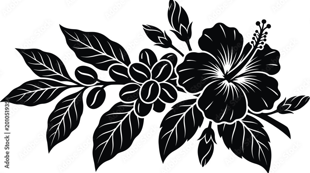 Obraz premium Black silhouette of hibiscus flower and coffee beans branch Vector Geographical Indication product