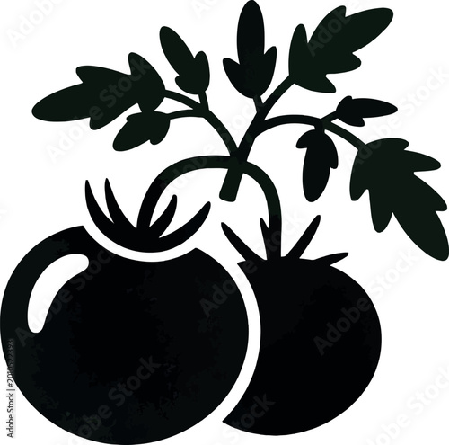 Two ripe red tomatoes on vine with green leaves stylized vector illustration.