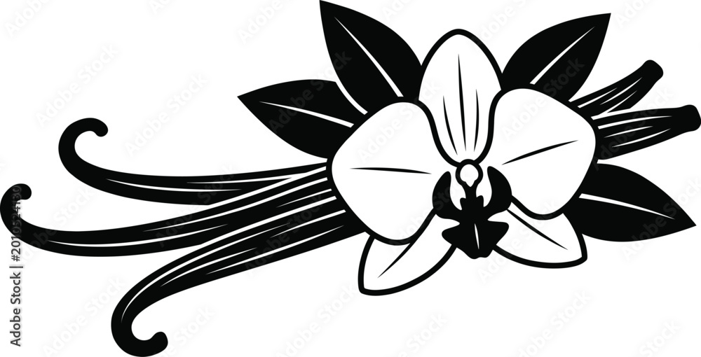 Obraz premium Vanilla flower with beans and leaves illustration Vector Geographical Indication product