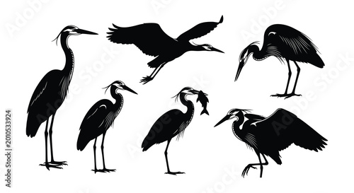 Photos Heron silhouettes in various poses black vector illustration