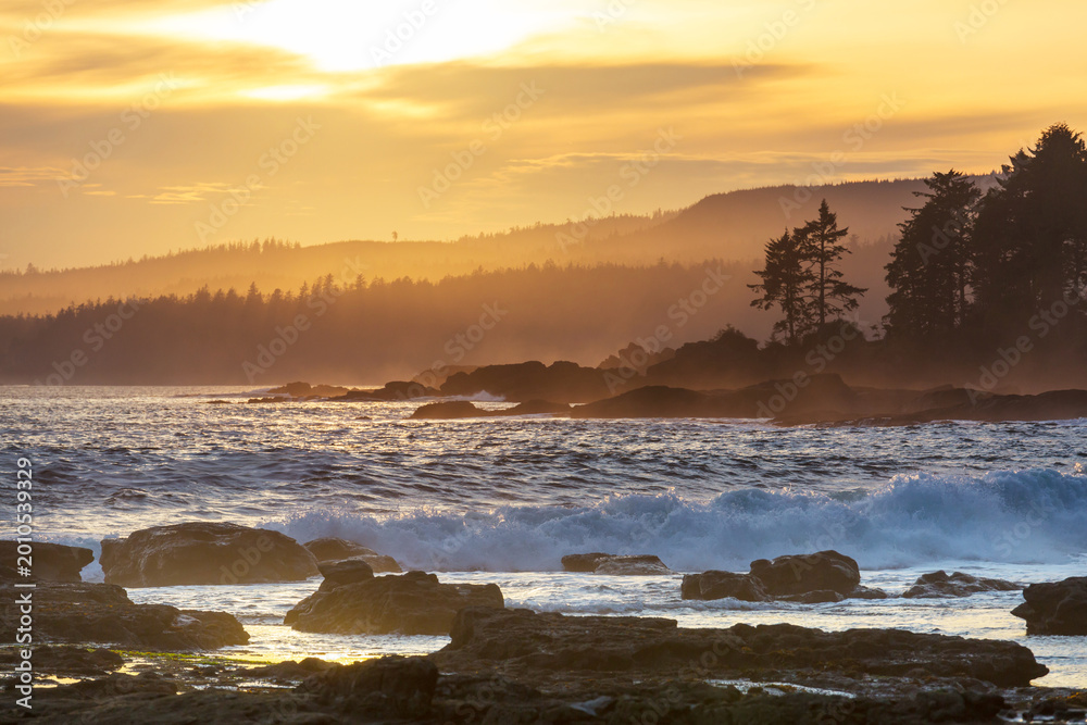 Fototapeta premium Vancouver island