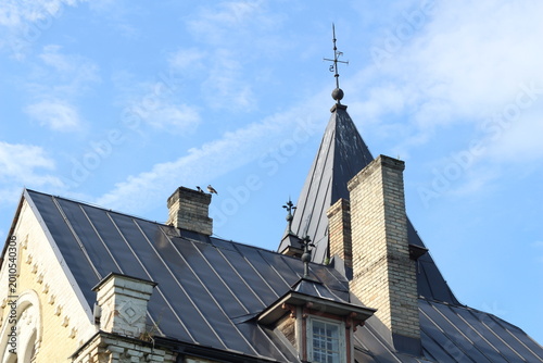 Doles Manor House, Latvia. Historic manor roof detail on a sunny day. Warm sunlight highlights aged roof tiles and traditional architecture, showcasing heritage, texture, and timeless European country