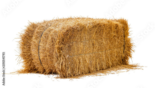 Fotografía Large rectangular Hay Bale bound with twine and loose straw