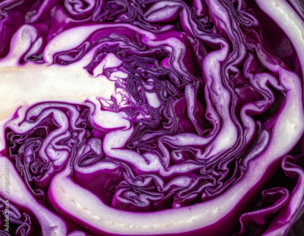 Obraz premium Rotkohl-Detailaufnahme (roh, angeschnitten)