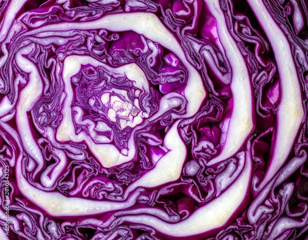 Obraz premium Rotkohl-Detailaufnahme (roh, angeschnitten)