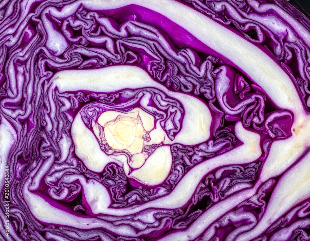 Obraz premium Rotkohl-Detailaufnahme (roh, angeschnitten)