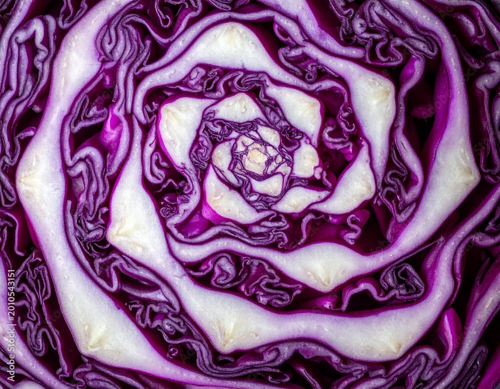 Obraz premium Rotkohl-Detailaufnahme (roh, angeschnitten)