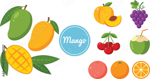 Mango and tropical fruits collection with fresh colorful food elements vector illustration set for healthy nutrition design