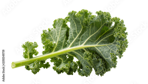 Quadro su tela Dark green curly kale leaf with long stem