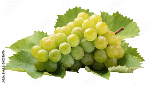 Fotografía Greenish-yellow Grape Bunch with Lush Green Leaves