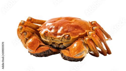 Fotografija Bright orange cooked crab with claws and legs